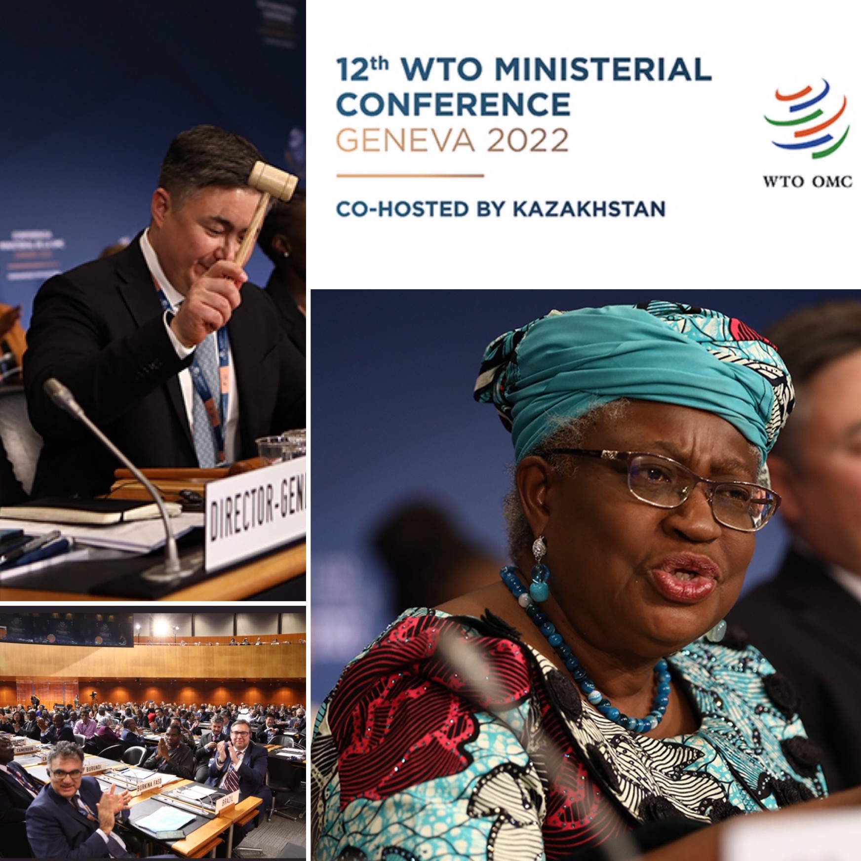 WTO’S MC12 OUTCOMES