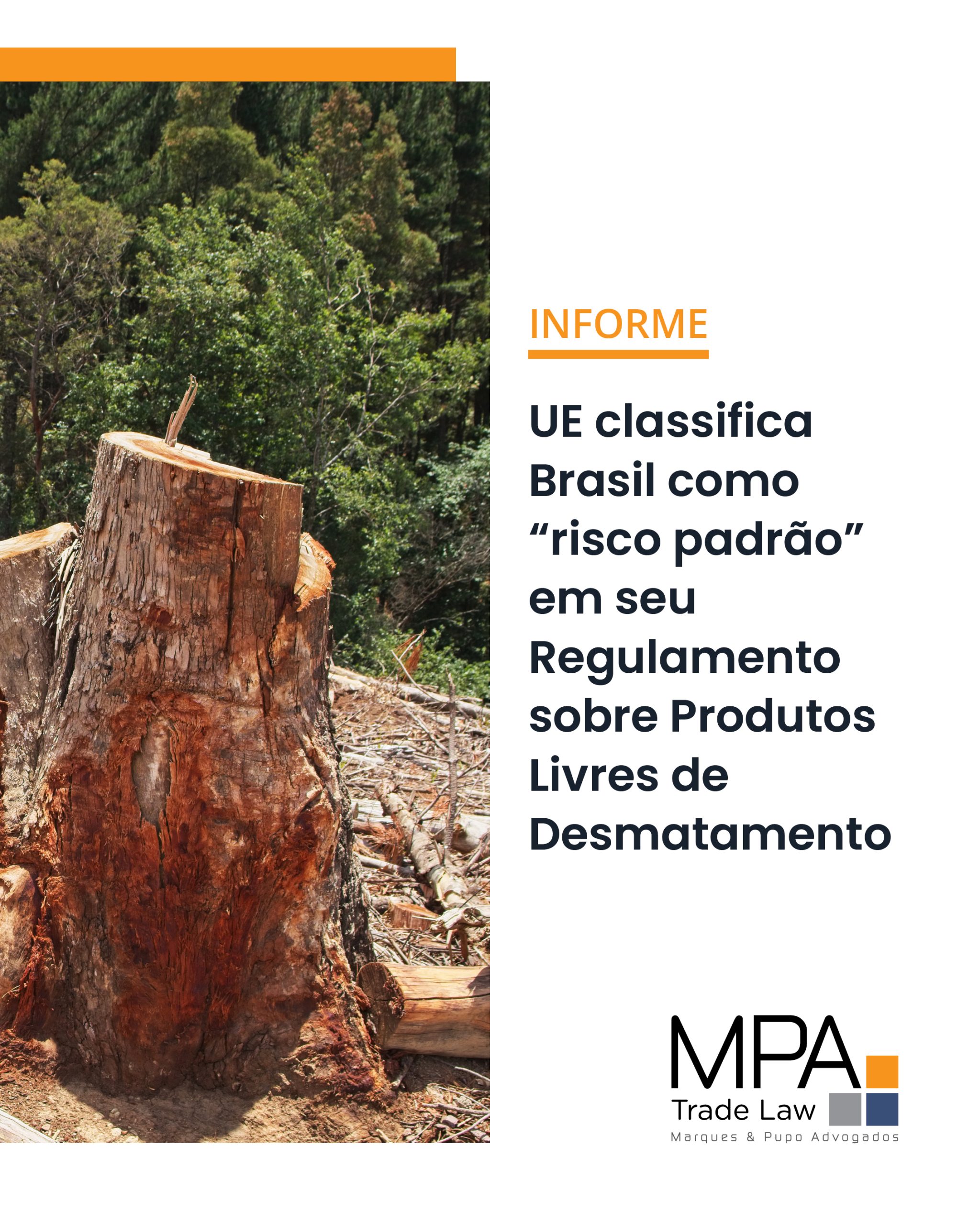 UE classifica Brasil como “risco padrão” em seu Regulamento sobre Produtos Livres de Desmatamento